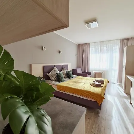 Apartment Bursztynek *